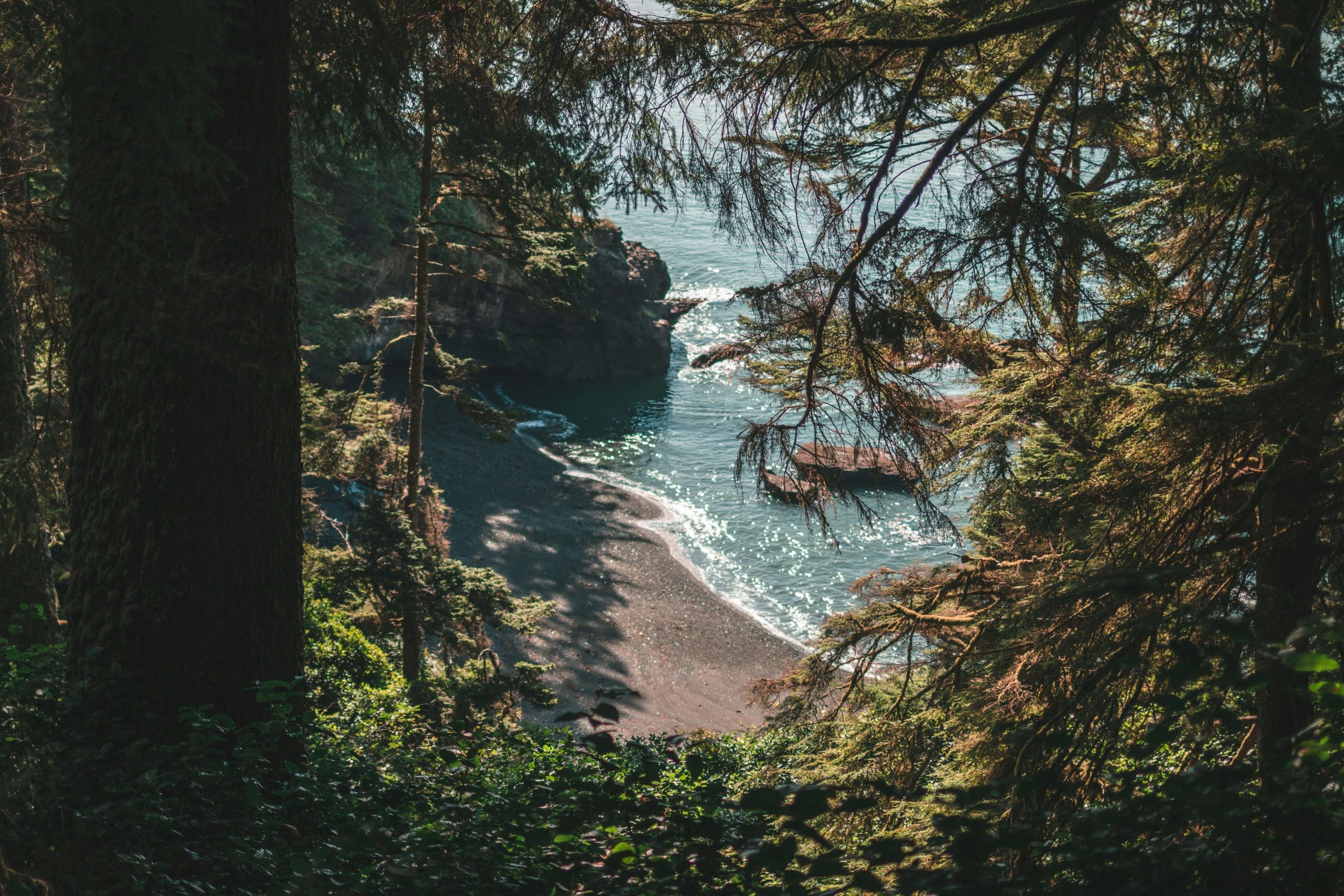 Hiking along the westcoast of Vancouver Island and finding this hidden beach at the forest and cliffs (Juan de Fuca, Canada)