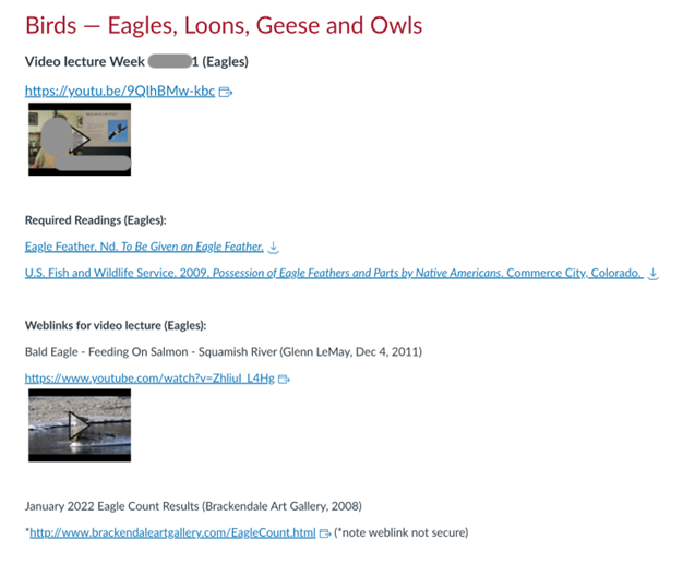 screen capture showing existing course LMS page with list of content links under unit title and subheadings.