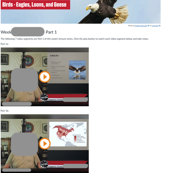 screen capture showing newly designed course LMS page with embedded video segments aligned beneath unit title banner and subheading.